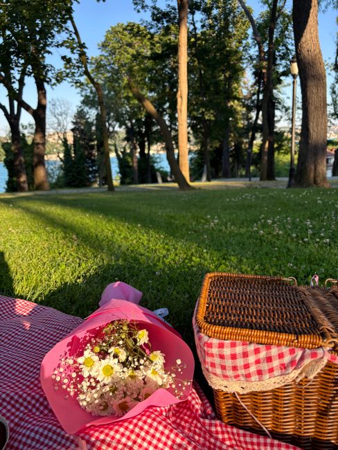 A bouquet of fresh flowers consisting of white daisies, pink carnations, and delicate baby's breath wrapped in pink paper, resting on a red and white checked picnic blanket outdoors. Next to the bouqu
